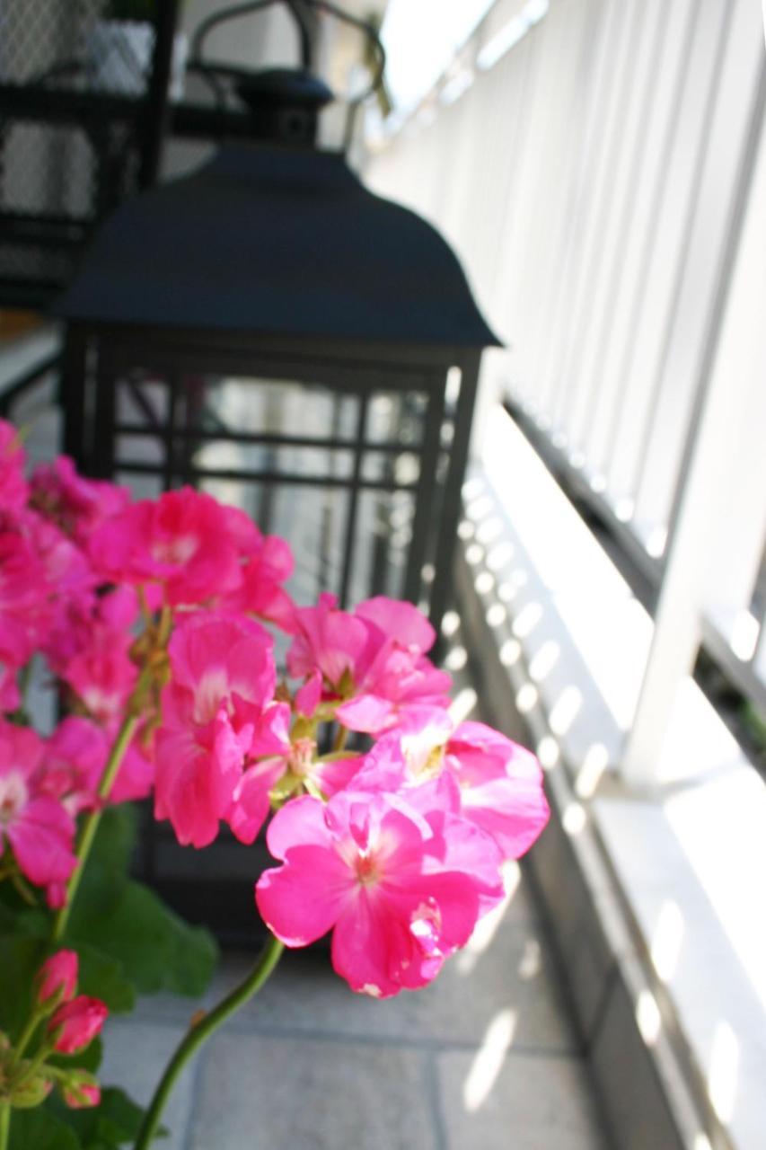 أثينا Socrates By Heloni Apartments المظهر الخارجي الصورة